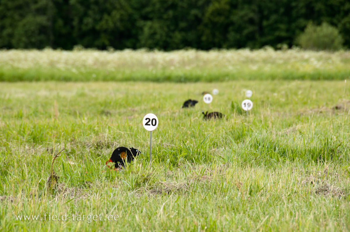 It seems that the grass has grown overnight